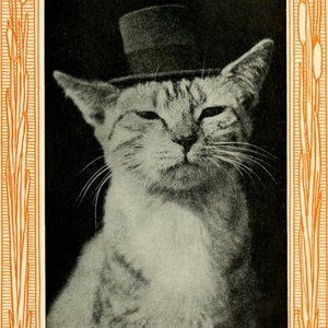 Meet your Posher, VintageSellz